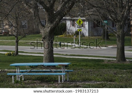 Turquoise Park Bench and tree house scenery