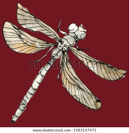 Watercolor illustration of dragonfly with a muted color, sketch isolated on a red background. Elegant inset drawn by hand with ink border. For invitations, cards, posters, logo, textile, other design.