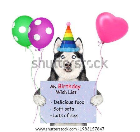 A dog husky in a party hat with colored balloons holds a birthday wish list. White background. Isolated.