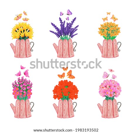 Set of bouquets of flowers in wooden pink watering cans. Hand drawn watercolor painting. Isolated illustration on a white background. Collection of garden pots with plants and butterflies.