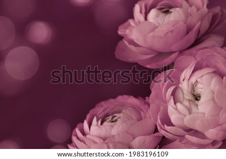Floral corner arrangement with ranunculus flowers on pink bokeh background