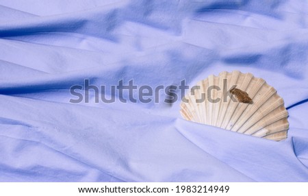 A seashell seen on the surface of the sea. Minimalist concept