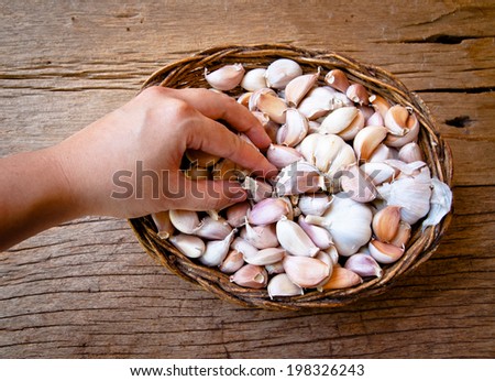 Hand Picking Basket of Fresh Garlic on Wood Table Background, Rustic Style.