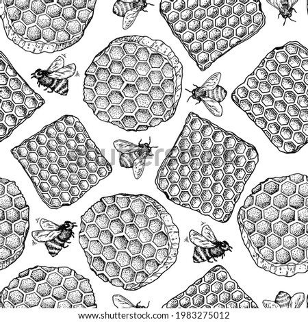 Honeycomb and bee hand drawn vector illustration. Seamless pattern. Sketch style. Healthy food illustration. Design for packaging. Hand drawn background.