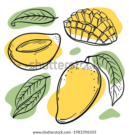 FRESH MANGO Abstract Delicious Tropical Fruits With Leaves And Cut In Half For Design Your Store And Restaurant Menu Hand Drawn In Sketch Vector Illustration Set
