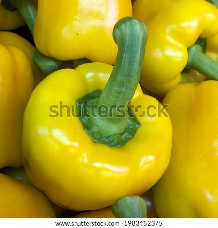 Macro photo yellow bell pepper. Stock photo vegetable yellow bell pepper background