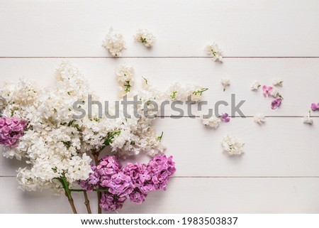 Composition with beautiful lilac flowers on light background