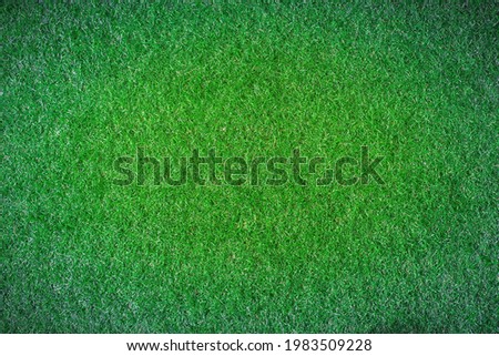Dark green grass, green field, artificial grass as a natural background.