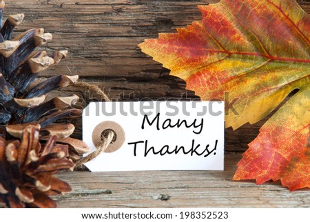 Fall Background with a Label with Many Thanks on it