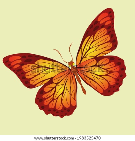 butterfly image and icon style