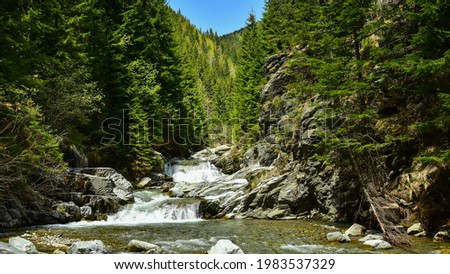 Refreshing landscape of a cold mountain river rapidly flowing through narrow rocks and forming cascades. Coniferous forests grow along the rocky riverbed. Latorita Massif, Carpathia, Romania.  Royalty-Free Stock Photo #1983537329