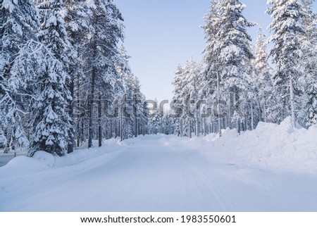 Beautiful natural environment on wild white northern destination with road for traveling, scenic picture of winter season forest with frost and snow on firs brunches