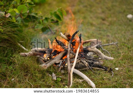 Photo shows how the fire is burning, tongues of flame of orange thread are bursting out of the burning wood. Fireplace is located in green meadow. Picture shows how the smoke evolves through the air.