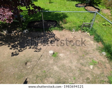 The top down view of a dog run in a suburban backyard. The ground is covered in weathered cement and it's enclosed with a metal chain link fence under the shade of a red maple tree.