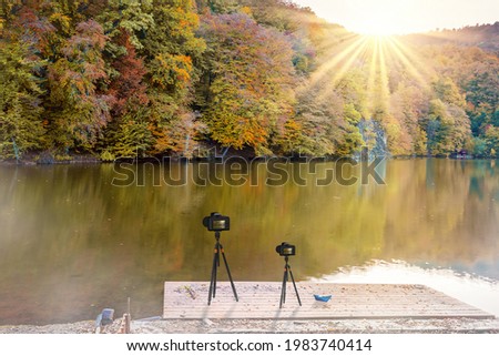 Two cameras on tripods of different sizes. The concept of parental care, love, attention. The concept of photographing as a hobby for a child. Beautiful sunset in the forest by the lake
