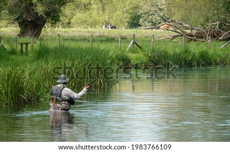 a fly fisherman angler in chest waders casts his line fishing for brown trout on the beautiful scenic river Avon, Wiltshire UK  Royalty-Free Stock Photo #1983766109