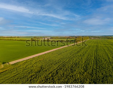 Drone view of the green and yellow  field, forest and blue sky on a sunny summer day