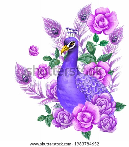 peacock illustration with roses and flowers in summer