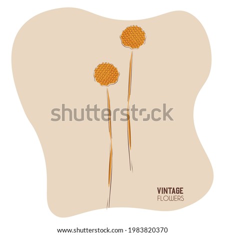 Isolated yellow vintage flowers art decorative vector illustration