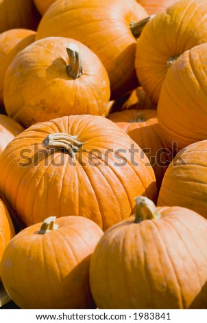 Pumpkin Halloween Thanksgiving background 41