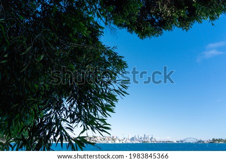 View of Sydney City with trees in front