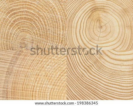 Wood Ends, Cut tree log Wood texture background Royalty-Free Stock Photo #198386345