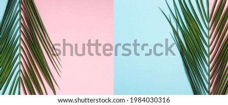 Branch of a palm tree on a light blue and pink background. Summer wallpaper. Banner. Flat lay, top view.