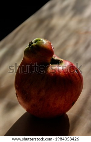 A bright red ripe apple of an unusual shape on the table. A pattern of shadows.