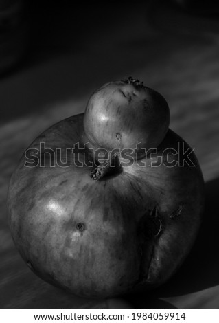 Unusual shape. An interesting apple looks like a bird with a beak. Black and white photography.