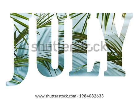 Words July made of palm leaves on blue background. summer months