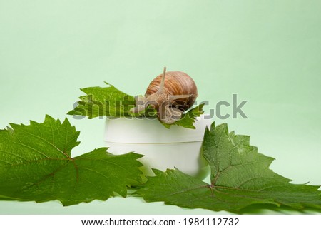 grape snail mucin cream,skin care cosmetic.
