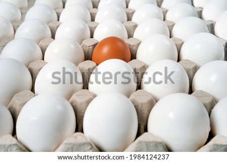 Group of fresh eggs, background. Brown chicken egg among other white eggs.