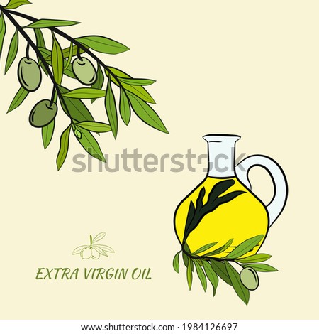 Olive fruit, branches tree and olive oil bottle sketches set. Set of illustrations of olive branch.Olive tree branch hand drawn illustration in sketch style. Design elements for label, emblem, banner.