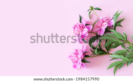 Bouquet of beautiful pink peony flowers on light pink table top view with copy space