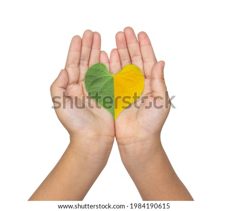 Green and yellow heart-shaped leaves are placed on a girl's hand. Save Tree concept, green leaves on Hand