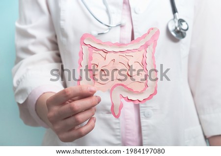 Doctor holding decorative model intestine. Gastroenterology, healthy digestion, microbiome intestine concept. Close up Royalty-Free Stock Photo #1984197080