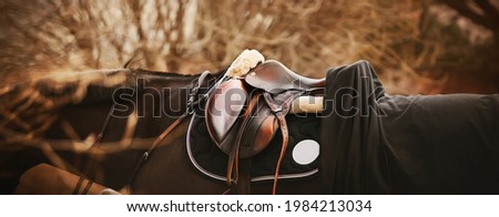 A bay horse with a dark mane is wearing a leather saddle, a dark saddlecloth, a black horse blanket and a bridle on an autumn day. Equestrian sports and ammunition. Royalty-Free Stock Photo #1984213034