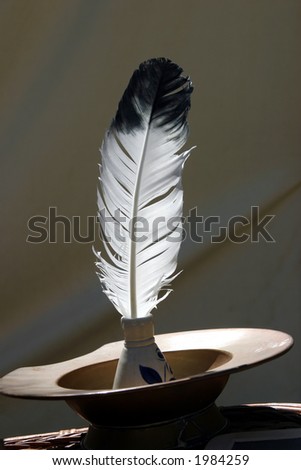 Bird's feather