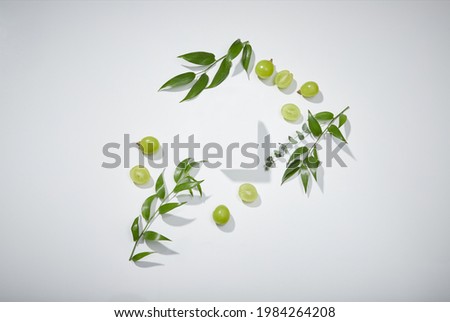 Image of grapes and leaves on a white background