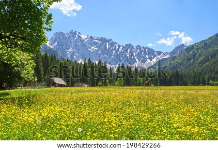 Meadow in the Boden valley with the Karawanken mountains / Southern Carinthia /Austria Royalty-Free Stock Photo #198429266