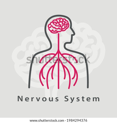 Nervous System icon. Simple element from internal organs collection. Creative Nervous System icon with brain for web design, templates, infographics. Nervous Icon Flat Isolated Vector Illustration Royalty-Free Stock Photo #1984294376