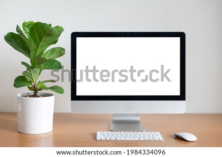 Blank screen of Desktop computer with Fiddle fig tree pot on wooden table