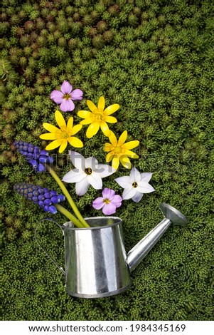 Miniature watering can on fresh green grass and natural flowers on a sunny day. Top view, vertical image.