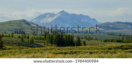 Snowy peaks stand tall over the new green of Spring in Yellowstone National Park.