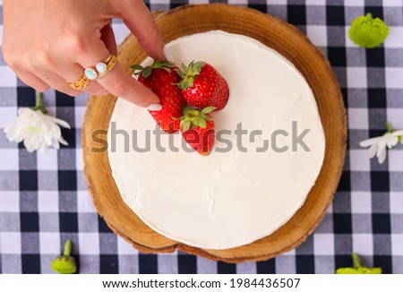 picnic food - cakes, wine ,cheese, salads, fruits, vegetables 