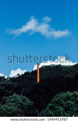 A vertical shot of a green forest under blue sky