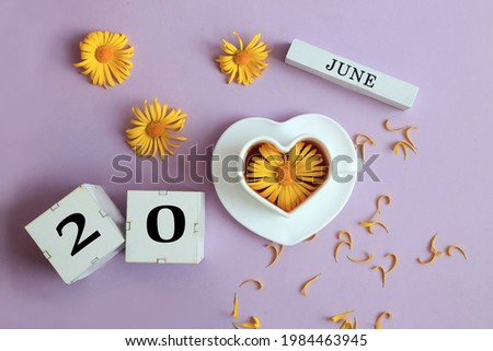 Calendar for June 20: the name of the month of June in English, cubes with the number 20, a cup of tea with a chamomile in it, yellow chamomile flowers with petals on a pastel background, top view