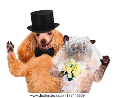 Cat and Dog. Wedding