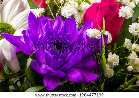 Background for a greeting card - beautiful gift bouquet of various colorful decorative summer flowers