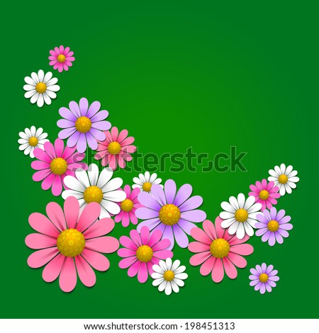Floral background with daisy on the green background, raster version